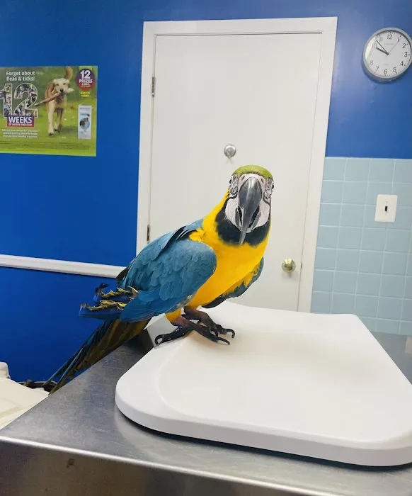 Cranbury Animal Hospital Picture 5