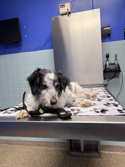 Cranbury Animal Hospital Picture 2