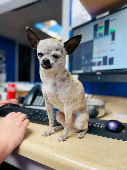 Cranbury Animal Hospital Picture 6