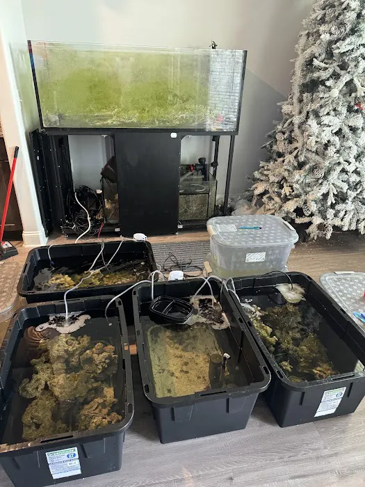 OceanCare Relocation inc Picture 1