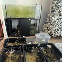 OceanCare Relocation inc ico