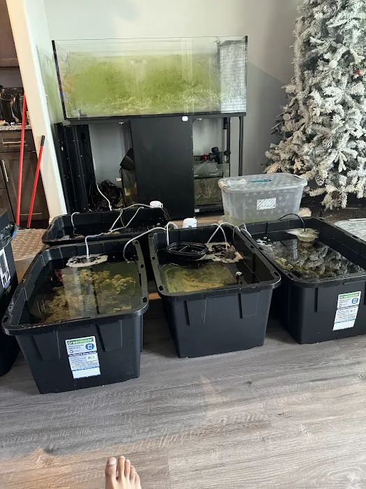 OceanCare Relocation inc Picture 4