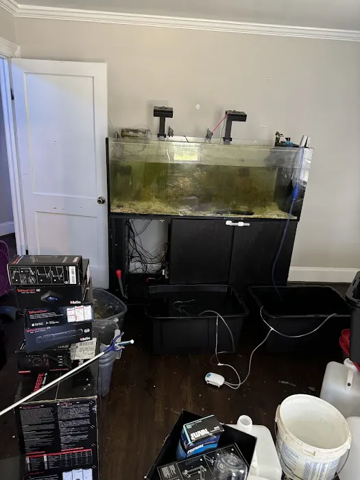 OceanCare Relocation inc Picture 3