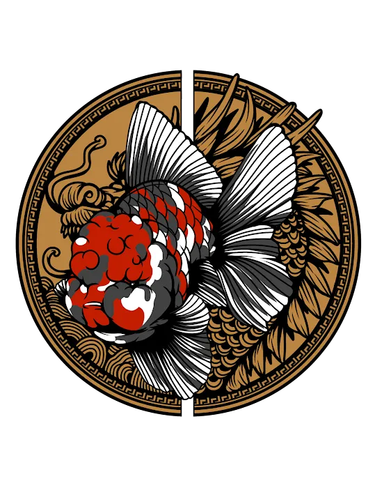 Tsugi Goldfish Picture 6