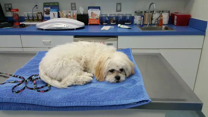 Twin Rivers Animal Hospital Picture 1