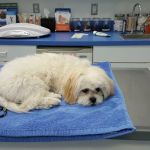 Twin Rivers Animal Hospital