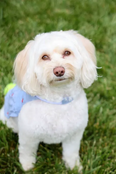 East Windsor Animal Hospital Picture 1