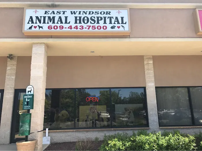 East Windsor Animal Hospital Picture 9