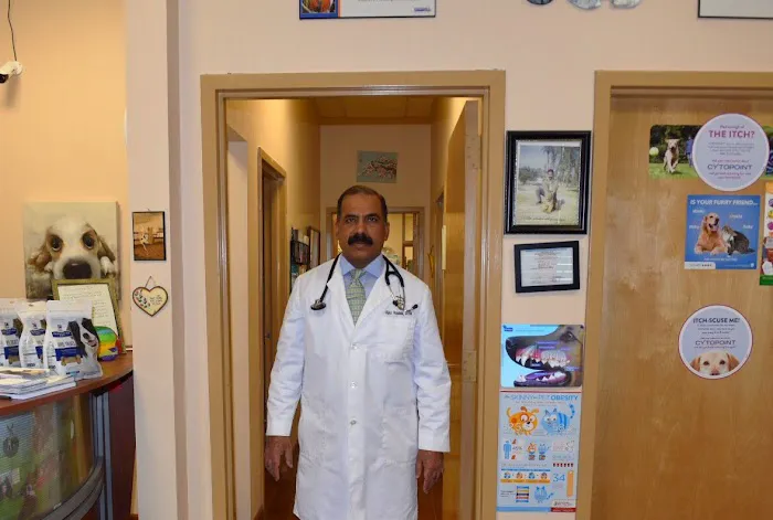 East Windsor Animal Hospital Picture 5