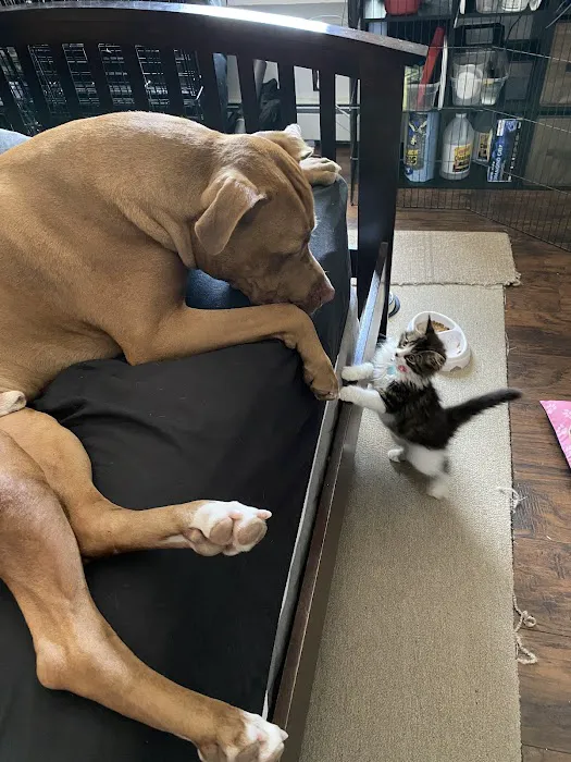 East Windsor Animal Hospital Picture 4