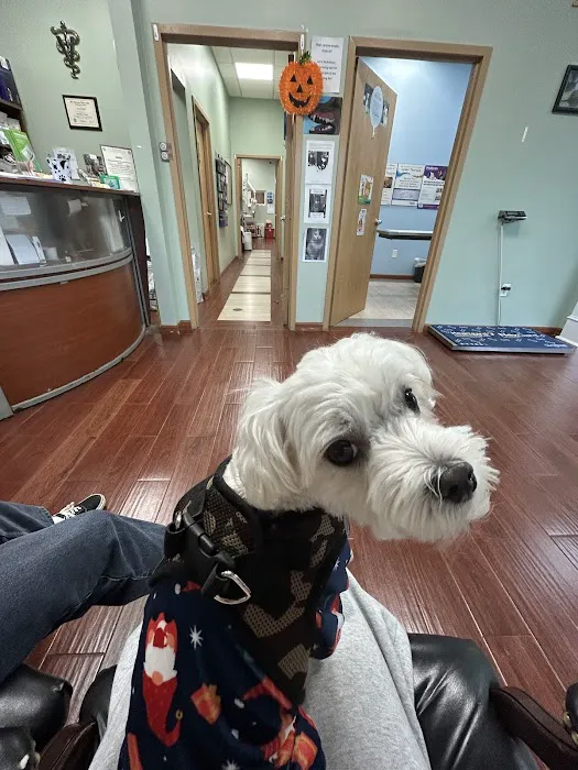 East Windsor Animal Hospital Picture 6