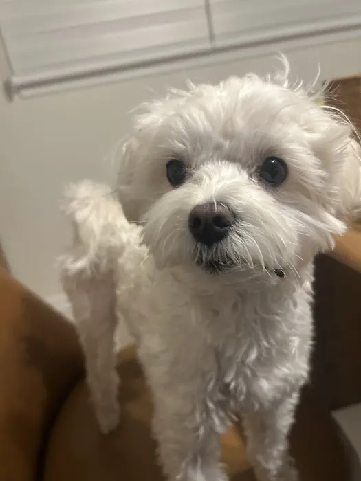 East Windsor Animal Hospital Picture 3