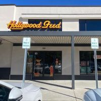 Hollywood Feed ico