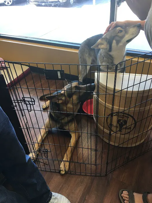 Hollywood Feed Picture 2