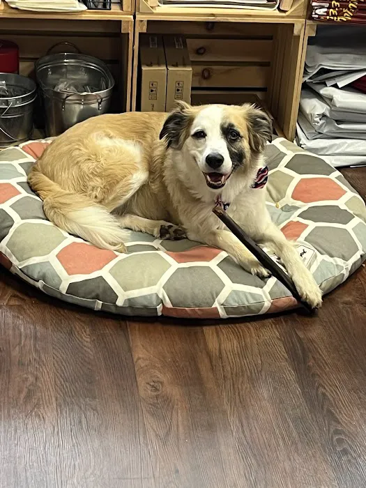 Hollywood Feed Picture 7