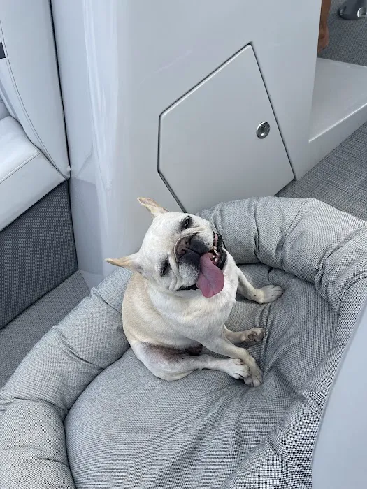 Hollywood Feed Picture 9