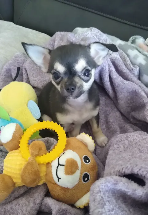 Hollywood Feed Picture 8