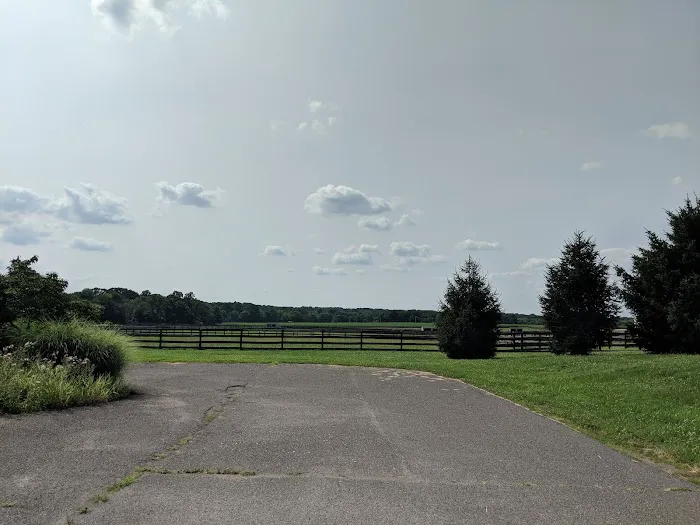 New Jersey Equine Clinic Picture 1
