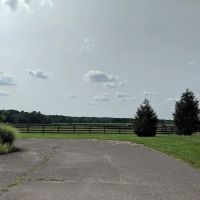 New Jersey Equine Clinic ico