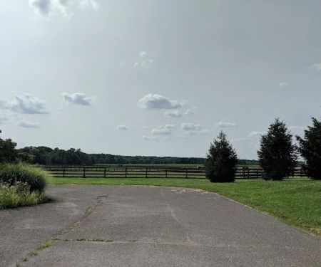 New Jersey Equine Clinic