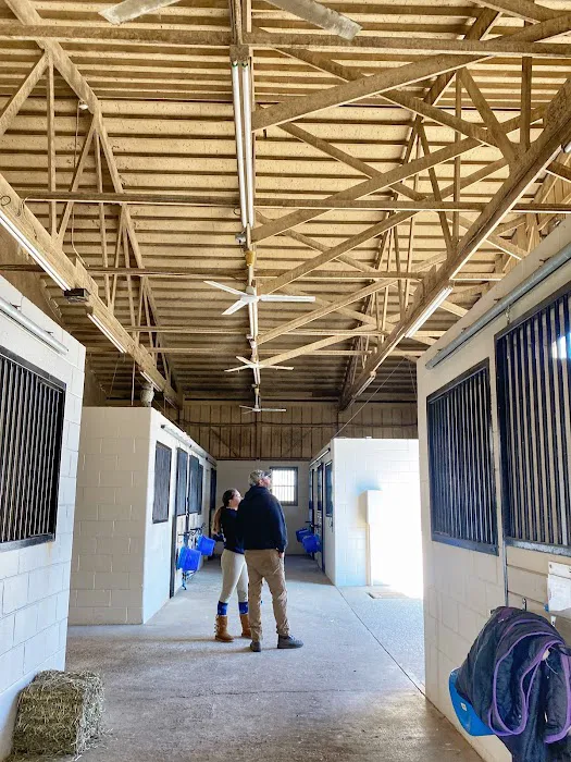 New Jersey Equine Clinic Picture 5