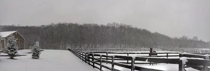 New Jersey Equine Clinic Picture 3