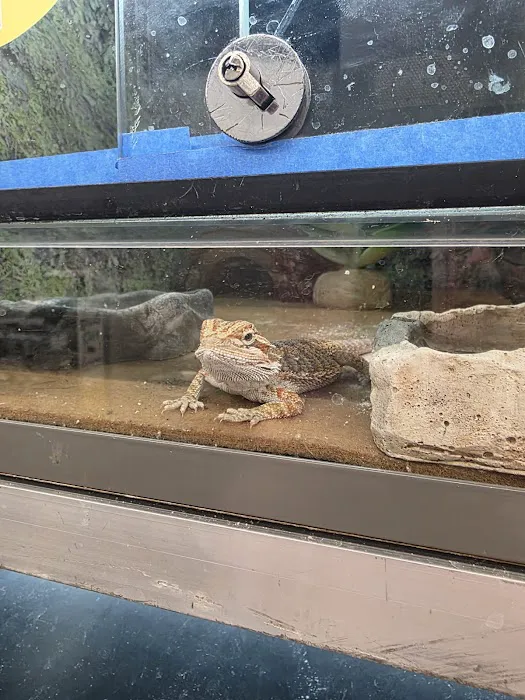 Pet Supplies Plus Durham Picture 7