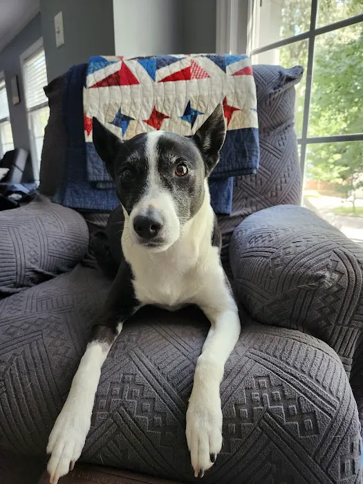 Pet Supplies Plus Durham Picture 3