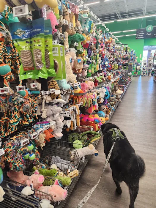 Pet Supplies Plus Durham Picture 10