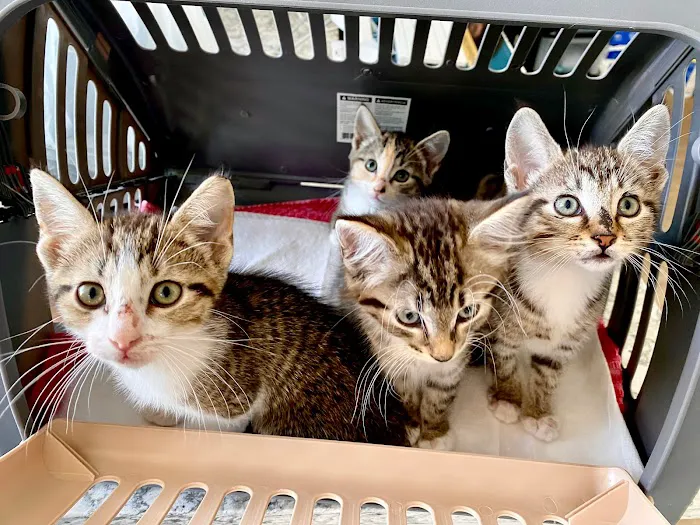 Raritan Valley Veterinary Hospital Picture 7