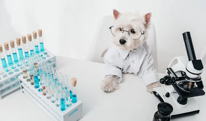 Raritan Valley Veterinary Hospital Picture 6