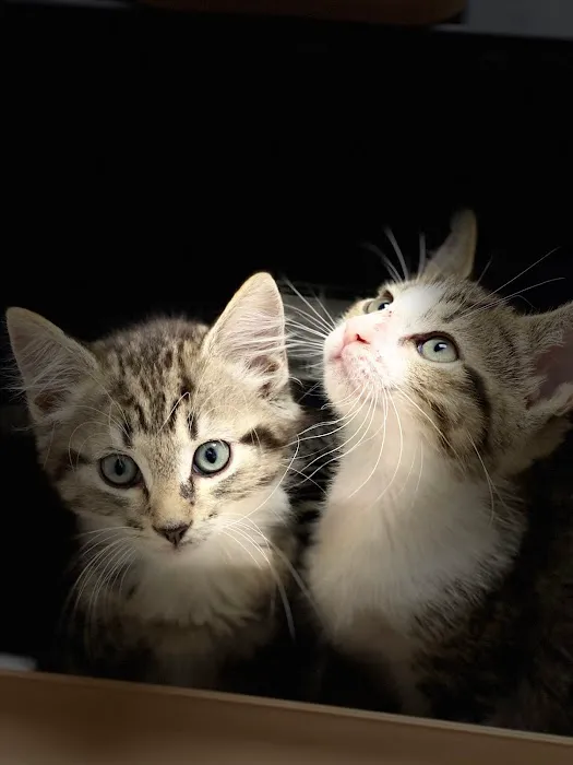 Raritan Valley Veterinary Hospital Picture 3