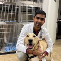 Raritan Valley Veterinary Hospital ico