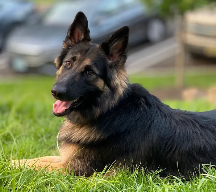 Raritan Valley Veterinary Hospital Picture 9