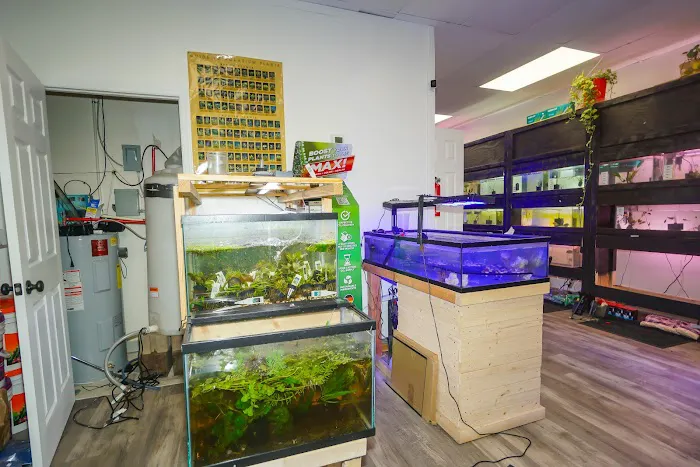 Angelo's Tropical Fish World Picture 2