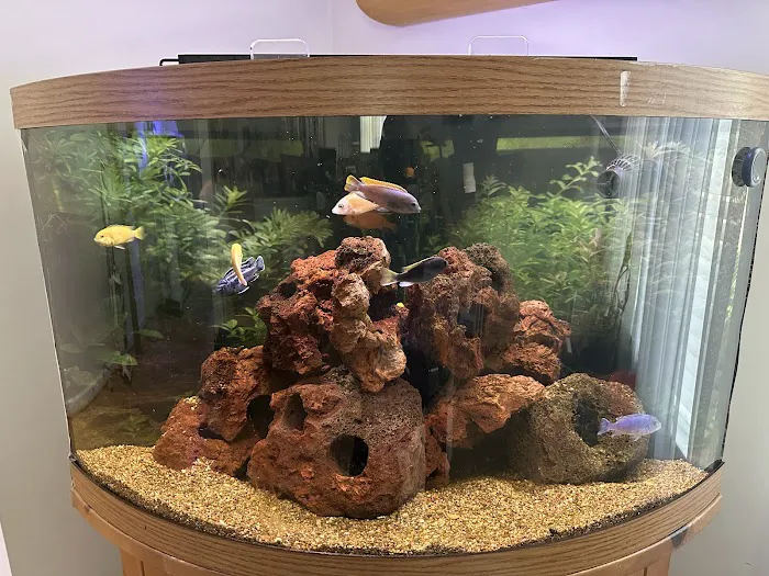 Angelo's Tropical Fish World Picture 7