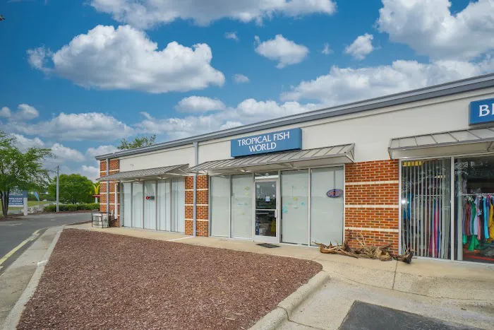 Angelo's Tropical Fish World Picture 4