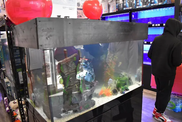 Angelo's Tropical Fish World Picture 9