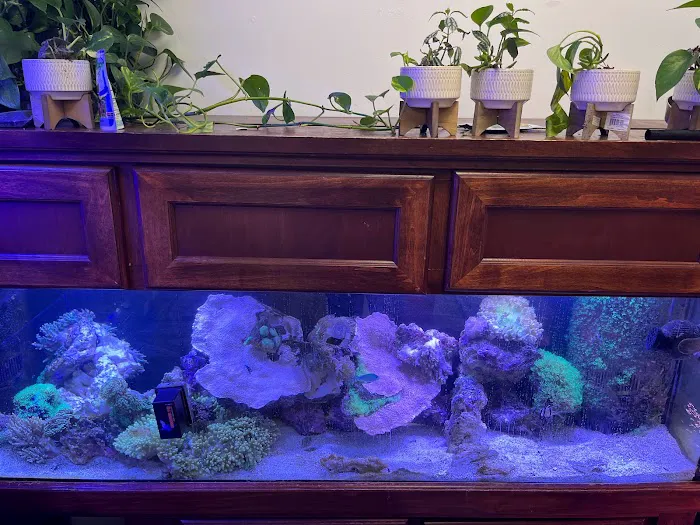 Angelo's Tropical Fish World Picture 10