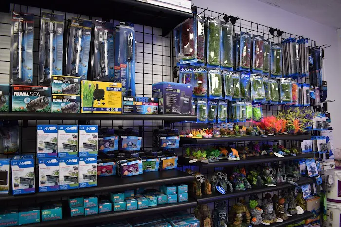 Angelo's Tropical Fish World Picture 6