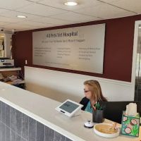 All Pets Vet Hospital ico