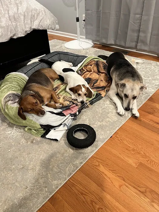 All Pets Vet Hospital Picture 7