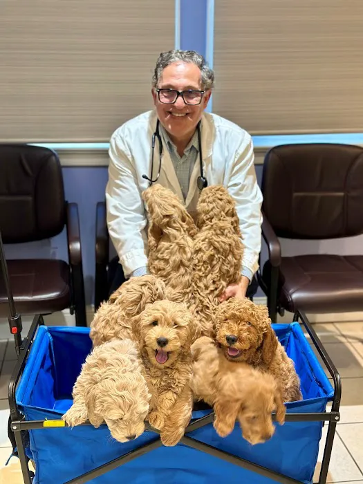 All Pets Vet Hospital Picture 6