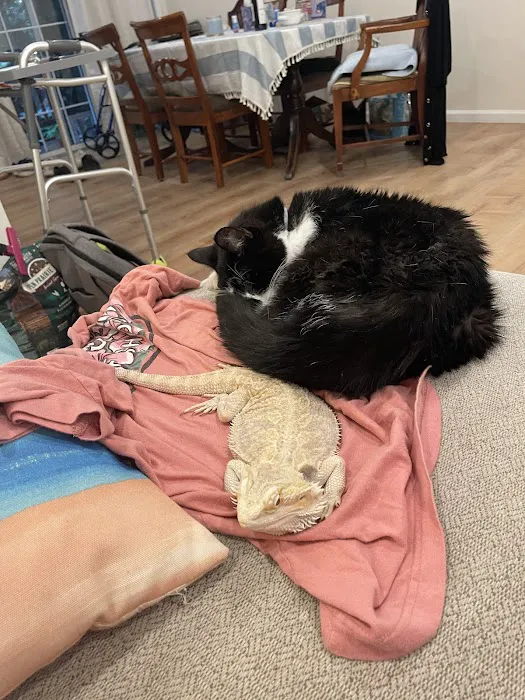 All Pets Vet Hospital Picture 9