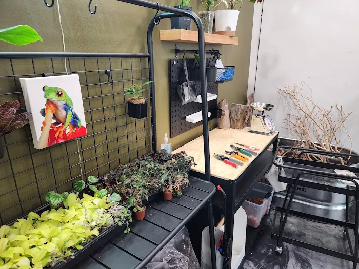 Cold Blooded & Bizarre Picture 3