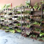 Cold Blooded & Bizarre