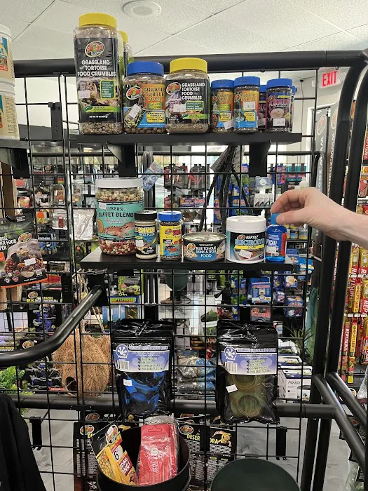 Cold Blooded & Bizarre Picture 5