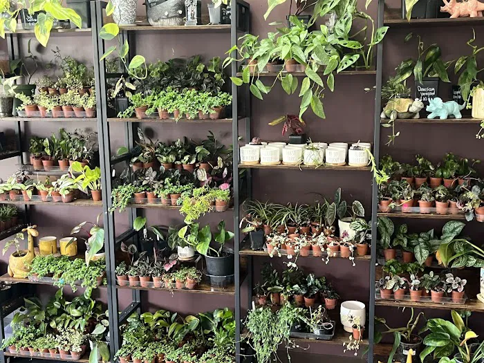 Cold Blooded & Bizarre Picture 6