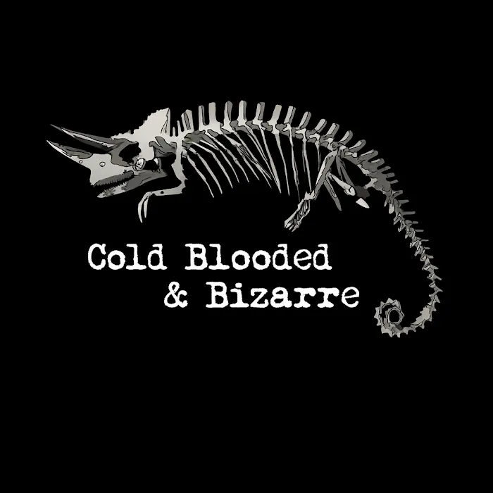 Cold Blooded & Bizarre Picture 9