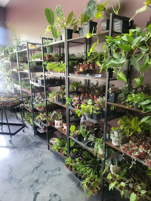 Cold Blooded & Bizarre Picture 4